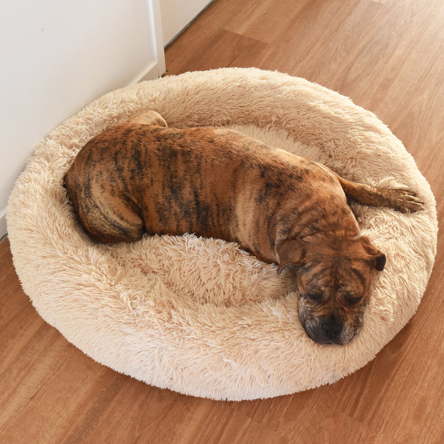 Calming Pet Bed