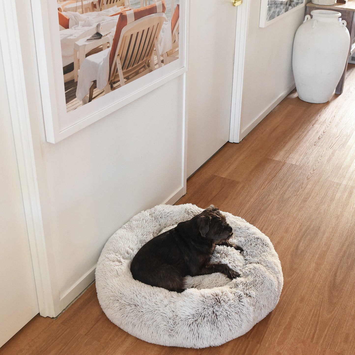 Calming Pet Bed